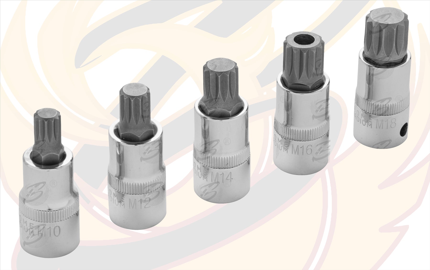 BLUESPOT 5PCS 1/2" DRIVE SPLINE BIT SOCKETS ( M10 - M18 )