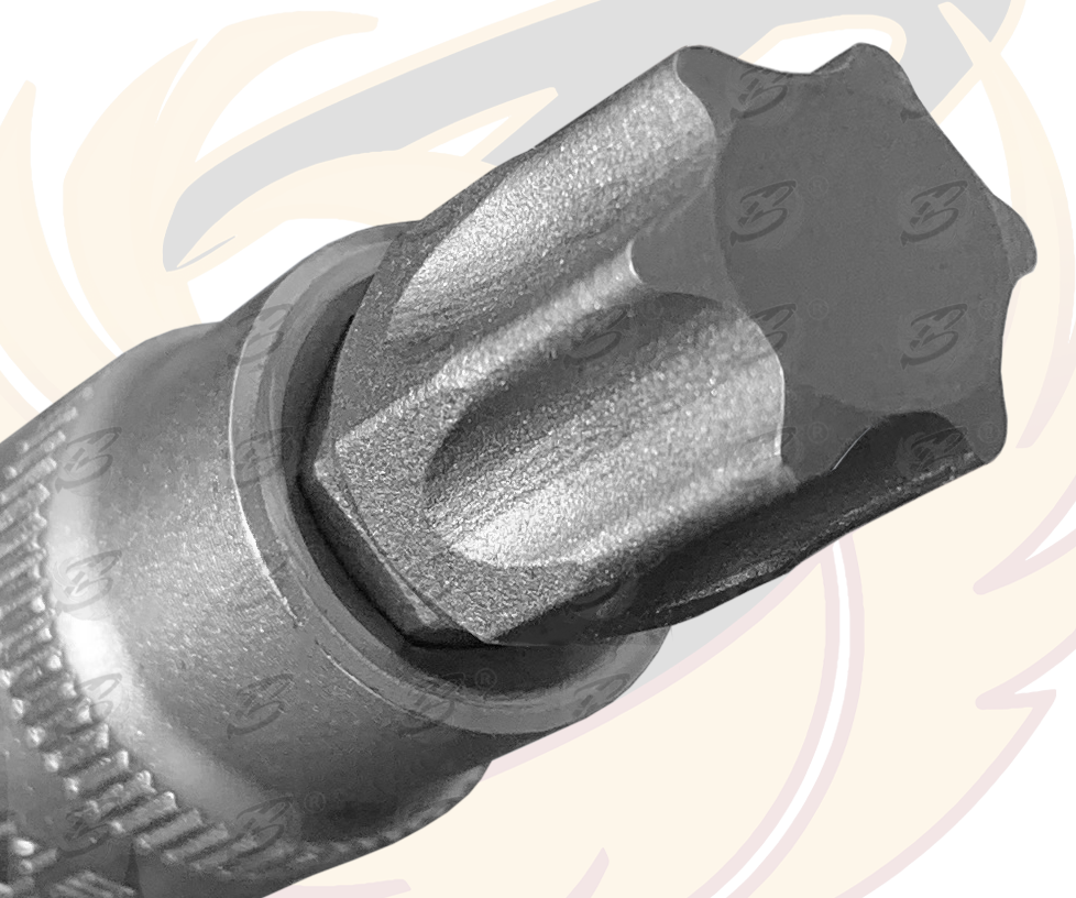 Berlin 11 Piece 1/4" & 3/8" Drive Torx Bit Sockets T10 - T60 ( BER013 )