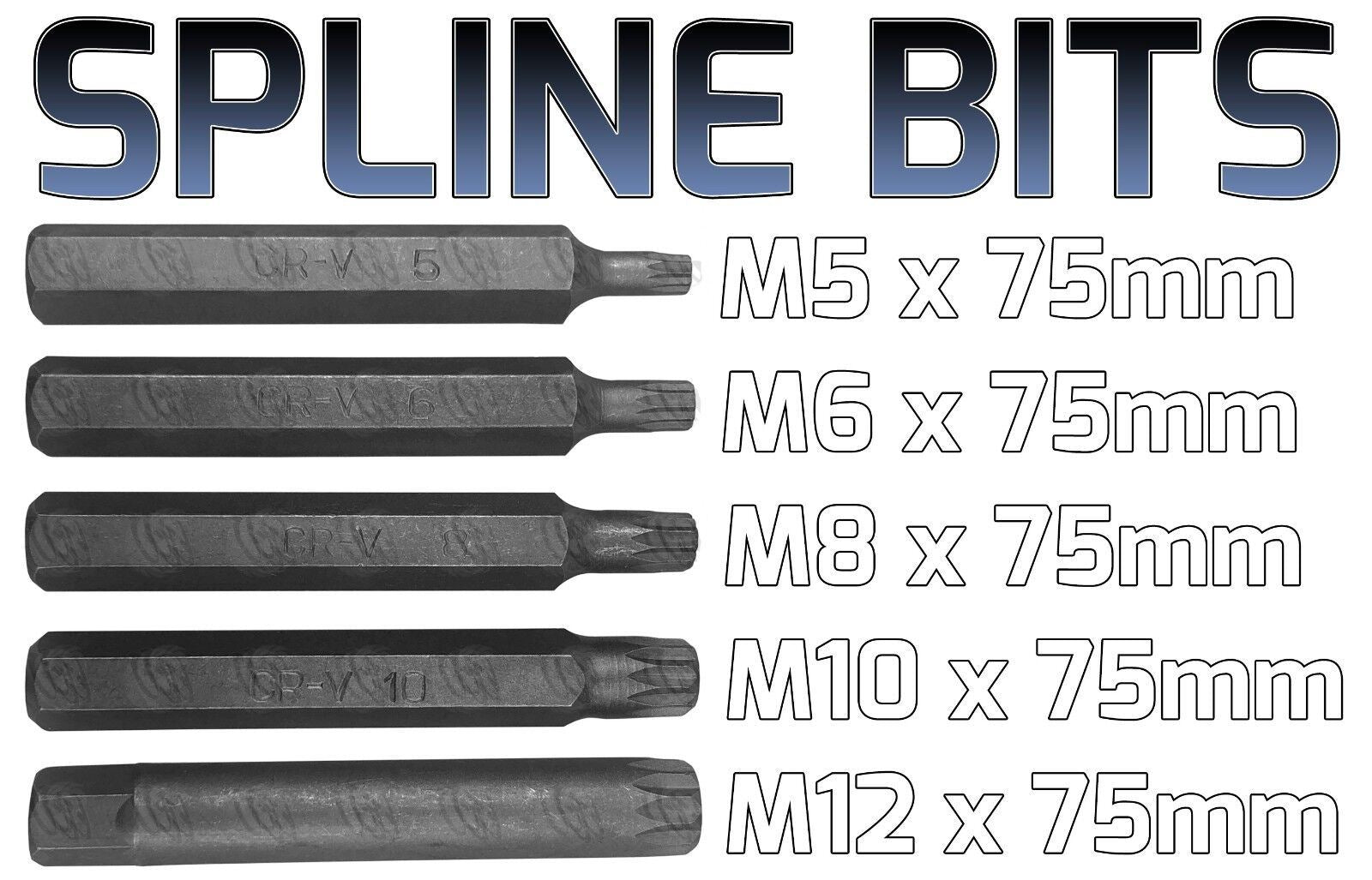 TOOLZONE 40PCS HEX - TORX - SPLINE BIT SOCKETS