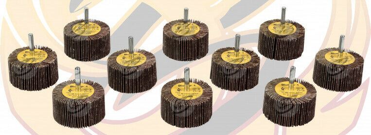 BLUESPOT 10PCS FLAP WHEEL DISCS ( 80 GRIT - 60MM )