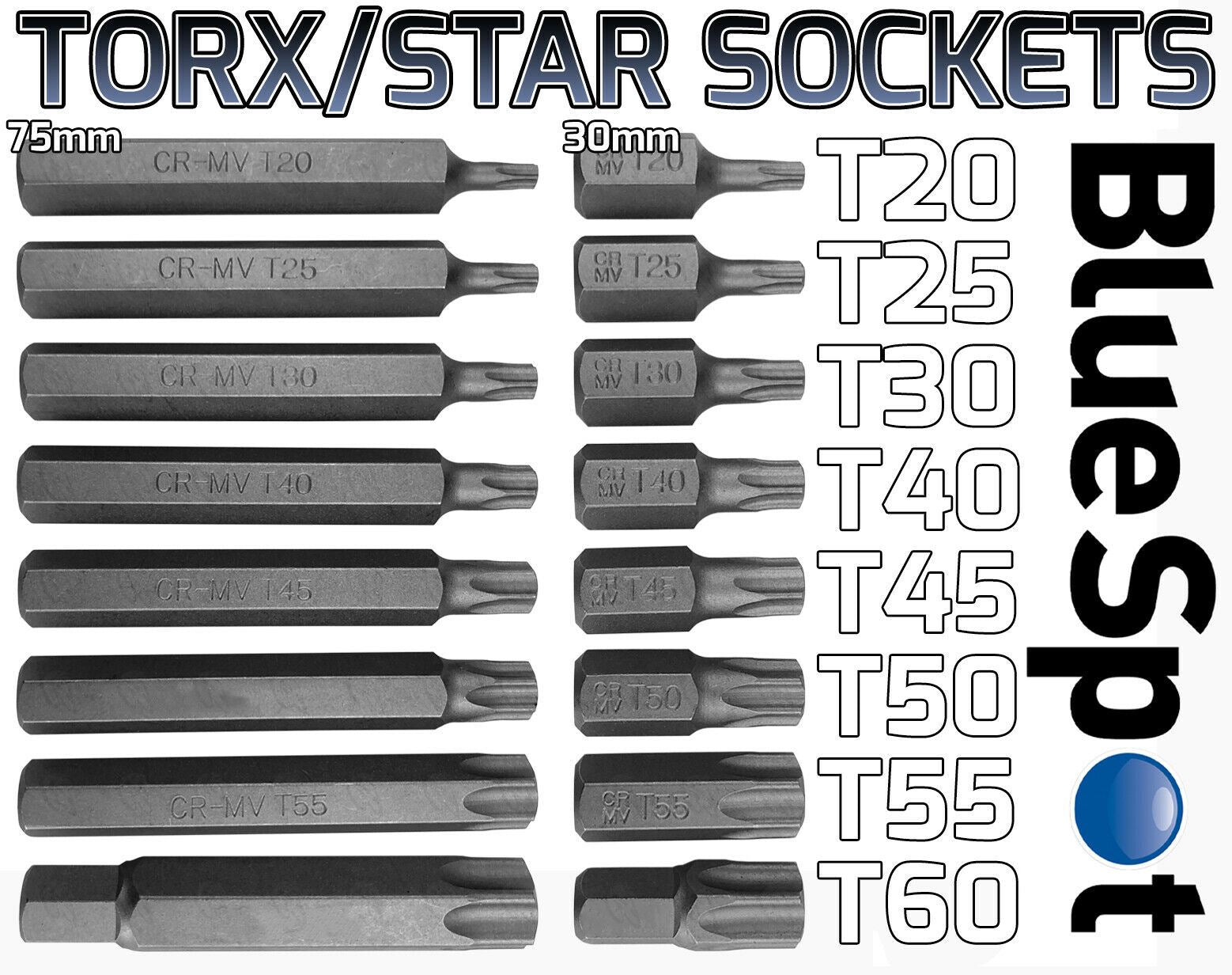 BLUESPOT 75PCS 3/8" & 1/2" DRIVE HEX - TORX - SPLINE - RIBE - TAMPERPROOF TORX BIT SOCKETS