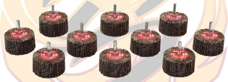 BLUESPOT 10PCS FLAP WHEEL DISCS ( 60 GRIT - 60MM )