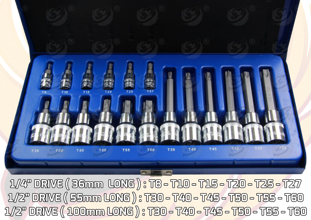 BERGEN 18PCS 1/4" & 1/2" DRIVE TORX BIT SOCKETS T8 - T60