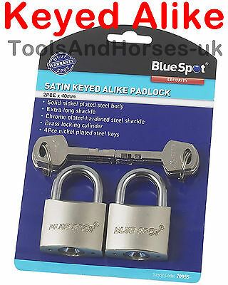 BLUESPOT 2PCS 40MM PADLOCKS