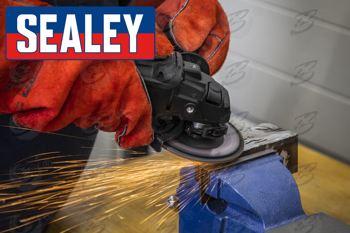 SEALEY 10PCS ASSORTED GRIT / FLAP DISC ( 40/60/80/120 GRIT )