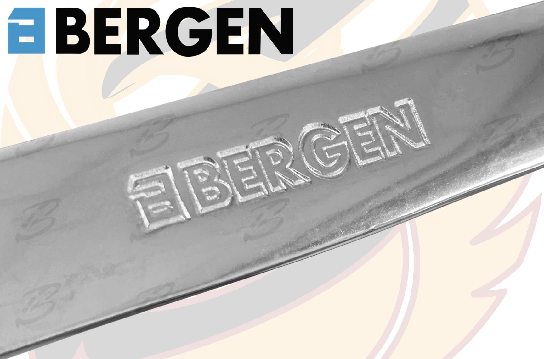 BERGEN 12PCS COMBINATION FLEXIBLE RATCHET SPANNER SET 8MM - 19MM