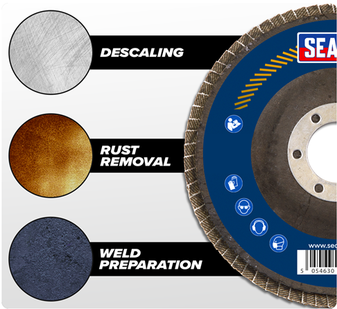 Sealey 10 Piece Assorted Grit / Flap Disc ( 40/60/80/120 Grit ) ( FD115EMIX )