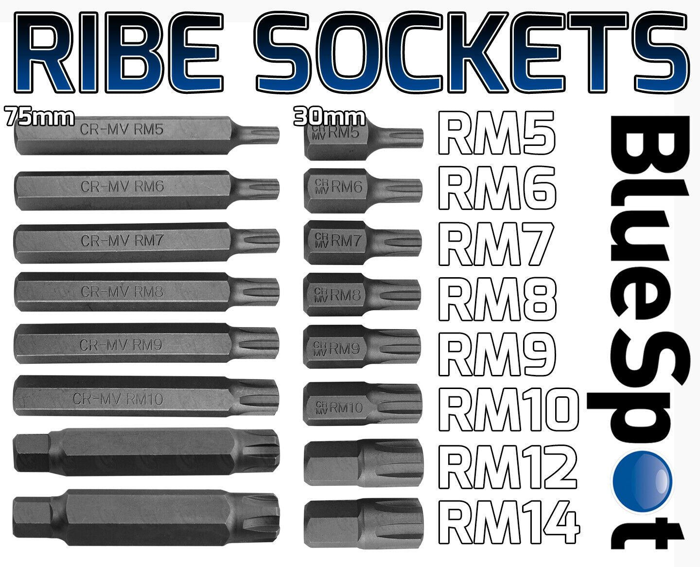 BlueSpot 75 Piece 3/8" & 1/2" Drive Hex - Torx - Spline - Ribe - Tamperproof Torx Bit Sockets ( 01519 )