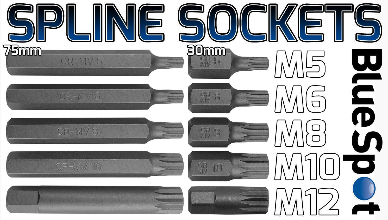 BLUESPOT 75PCS 3/8" & 1/2" DRIVE HEX - TORX - SPLINE - RIBE - TAMPERPROOF TORX BIT SOCKETS