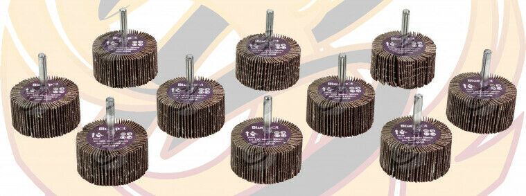 BlueSpot 10 Piece Flap Wheel Discs ( 120 Grit - 50mm ) ( 19614 )