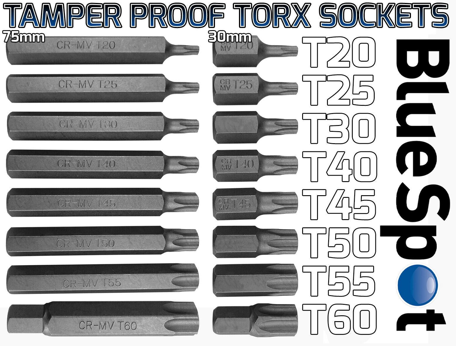 BLUESPOT 75PCS 3/8" & 1/2" DRIVE HEX - TORX - SPLINE - RIBE - TAMPERPROOF TORX BIT SOCKETS
