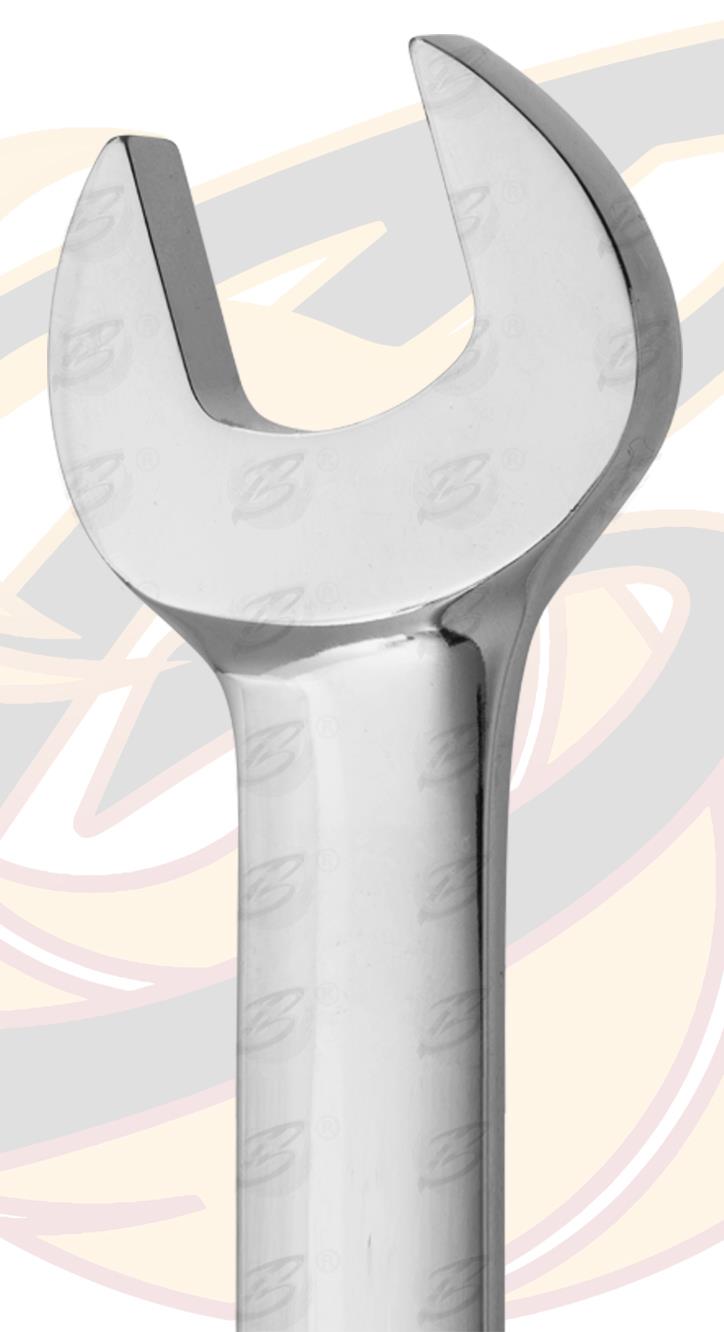 BERGEN 12PCS COMBINATION FLEXIBLE RATCHET SPANNER SET 8MM - 19MM