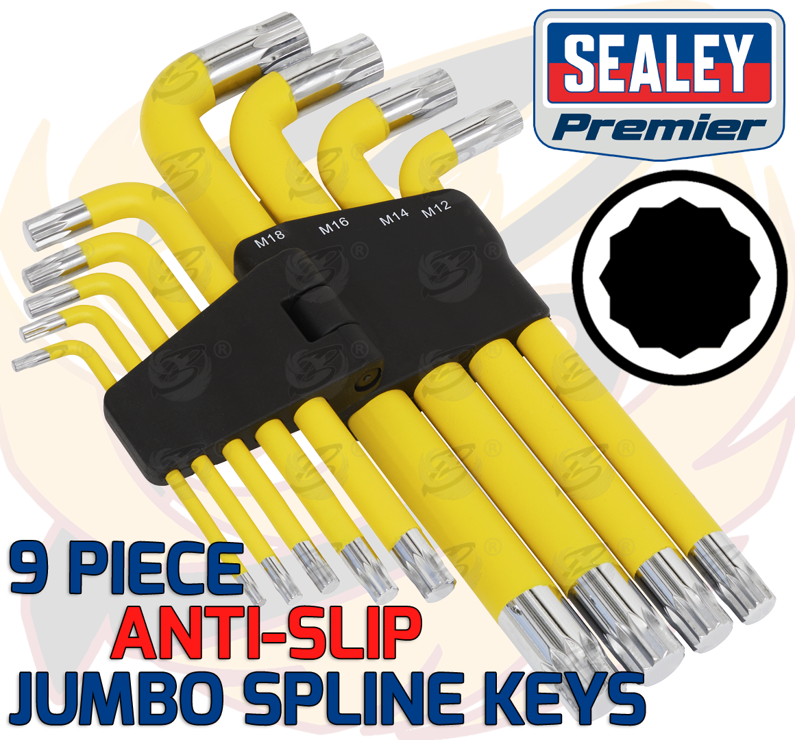 Sealey Jumbo Magnetic Anti Slip Spline Keys M4 - M18 ( AK7189 )