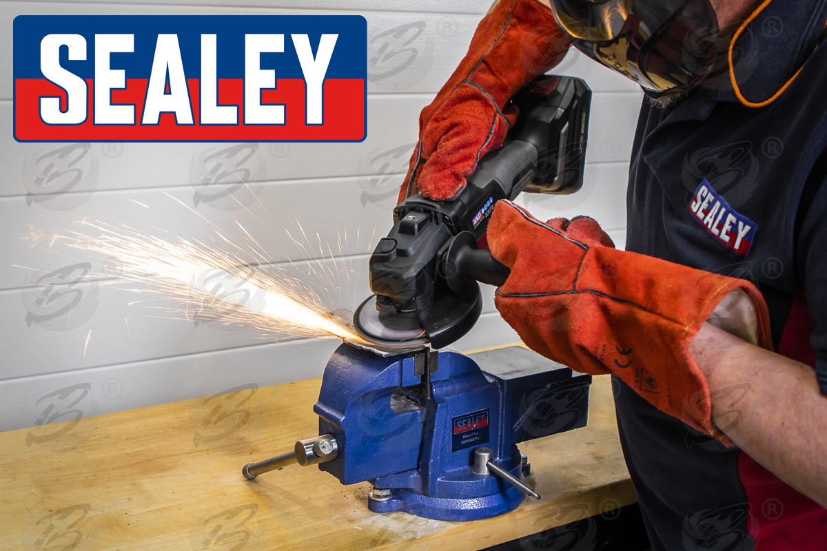 Sealey 10 Piece Assorted Grit / Flap Disc ( 40/60/80/120 Grit ) ( FD115EMIX )