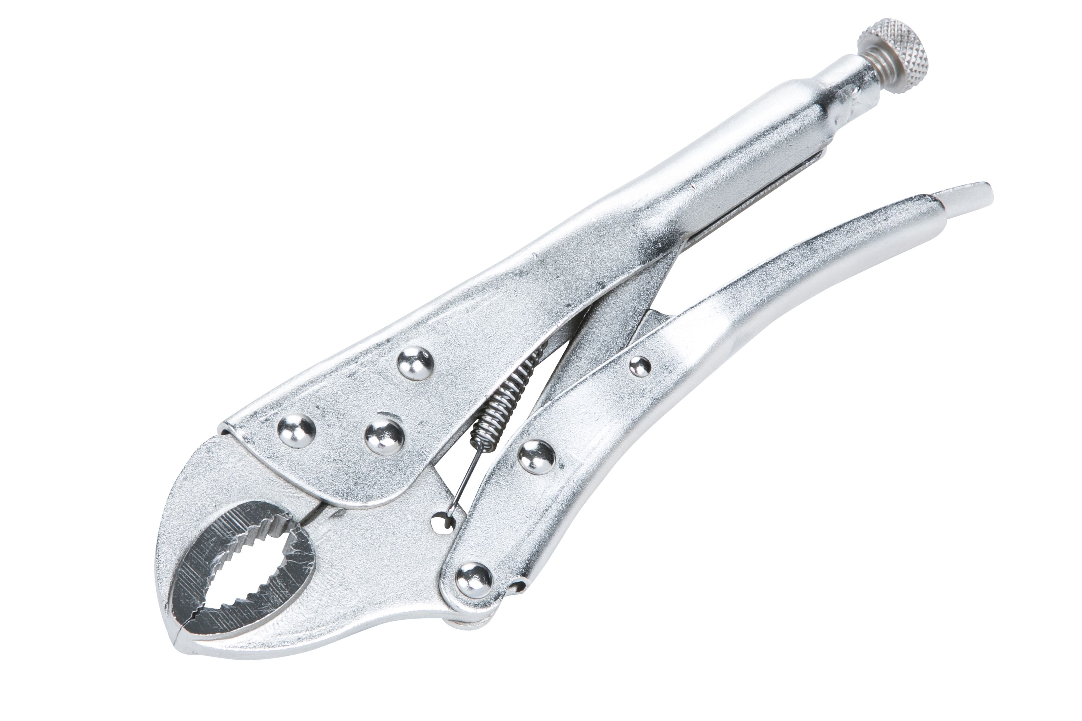 BlueSpot 250mm (10") Curved Locking Plier ( 06524 )