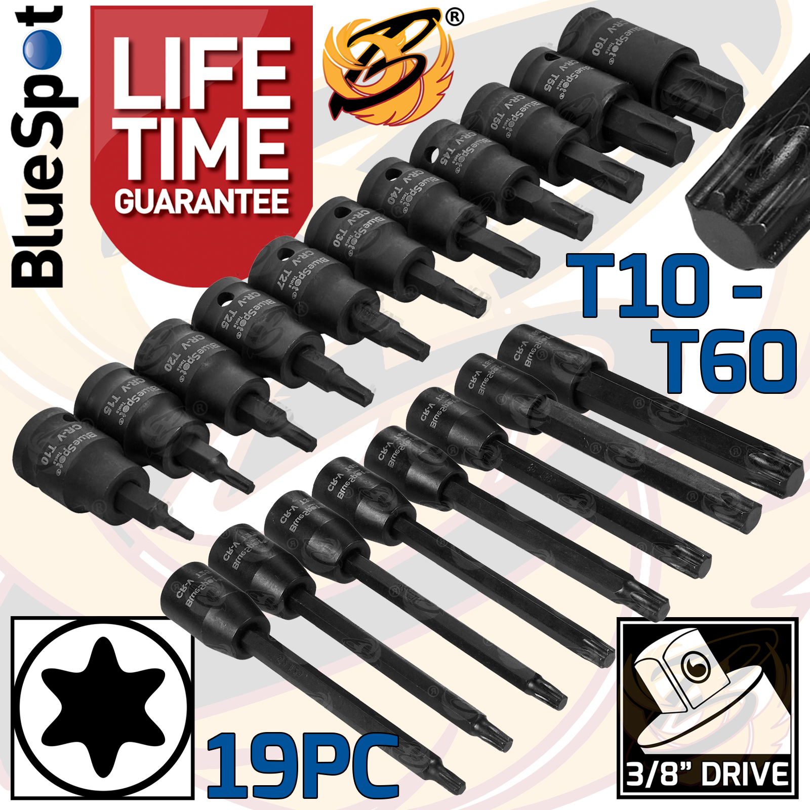 BLUESPOT 19 PCE 3/8" DRIVE SHORT & LONG IMPACT TORX BIT SOCKETS (T10 - T60)