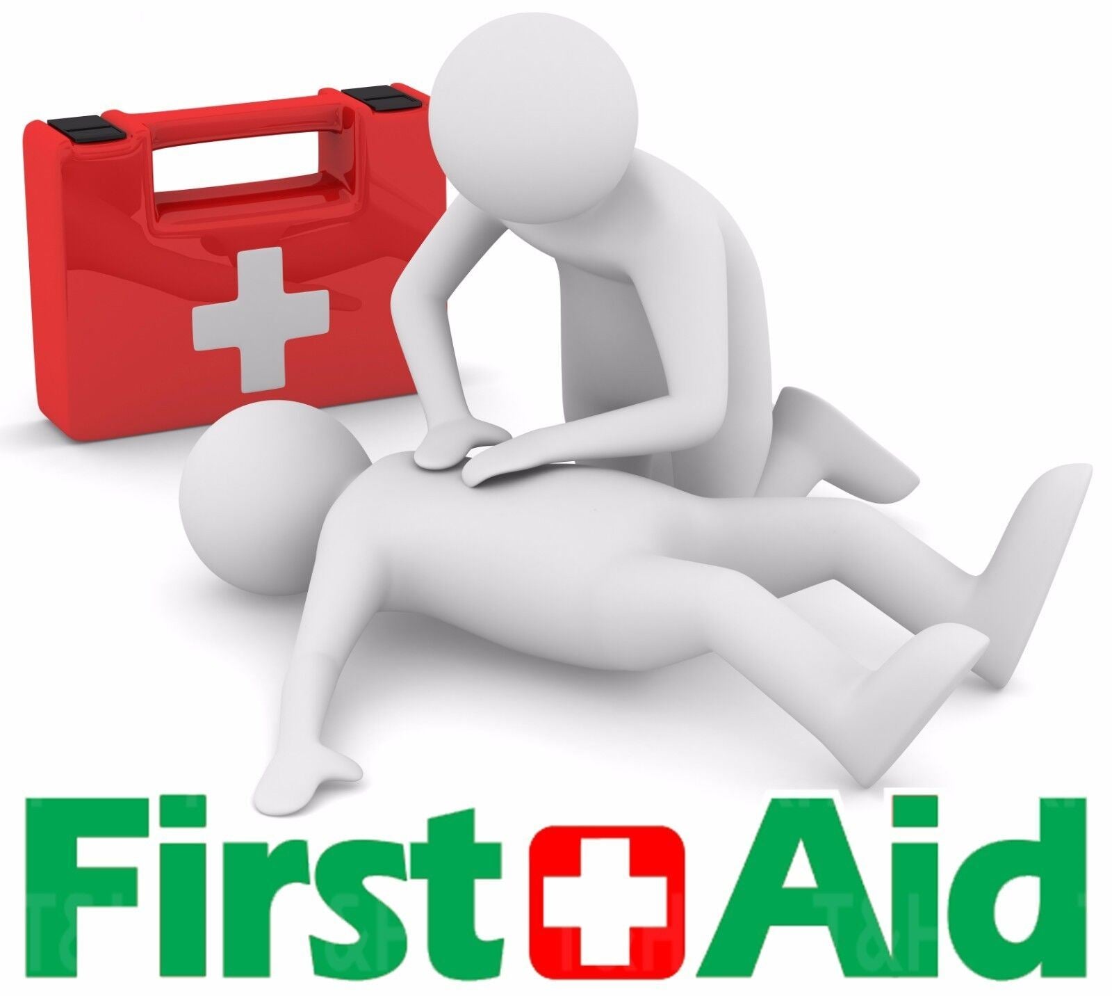 First Aid Kit ( 99829 )