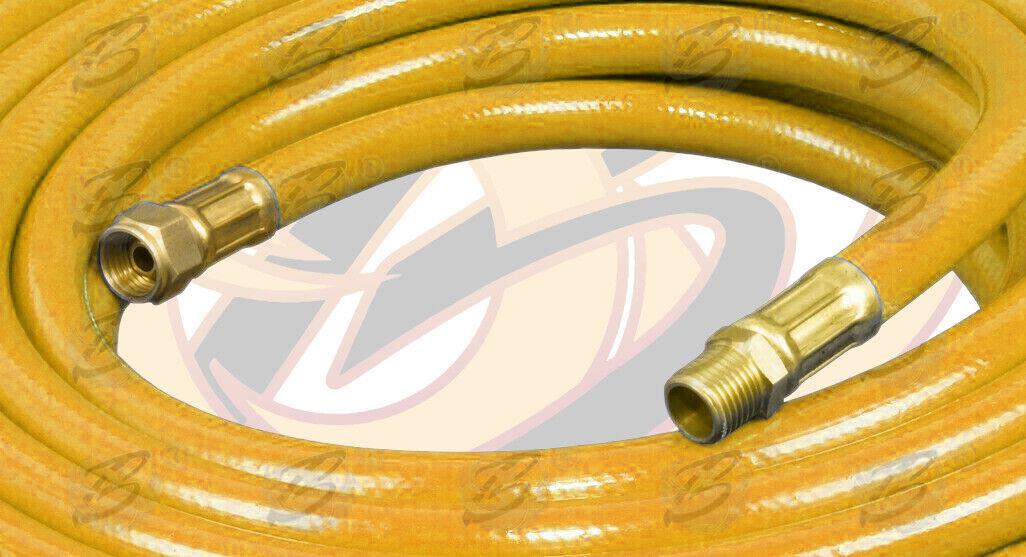 BlueSpot 10M ( 33 Foot ) 1/4" Bs Point Air Line Hose 07952