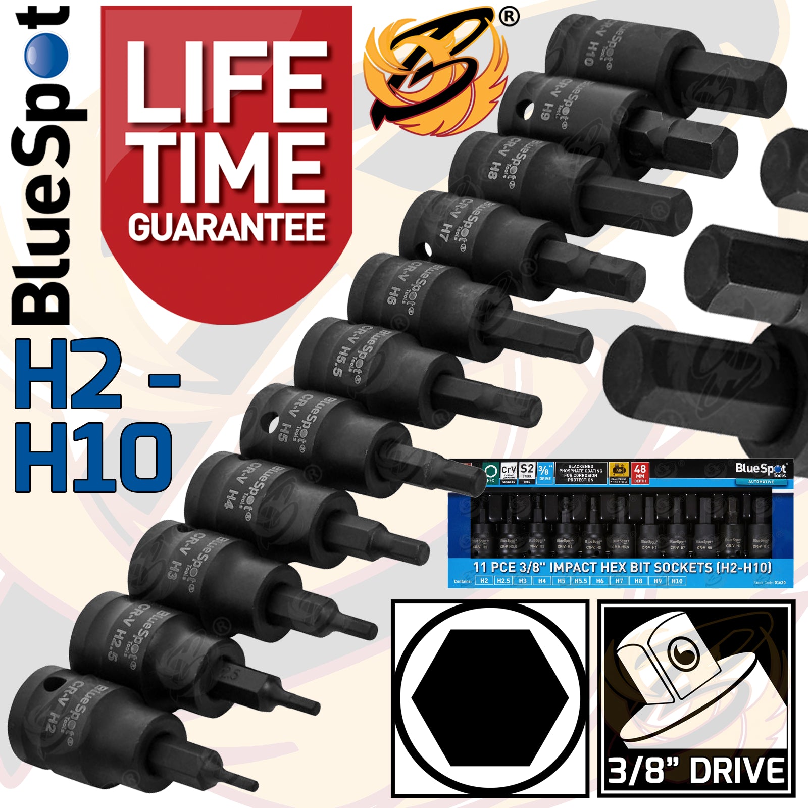 BLUESPOT 11 PCE 3/8" DRIVE IMPACT HEX BIT SOCKETS (H2 - H10)