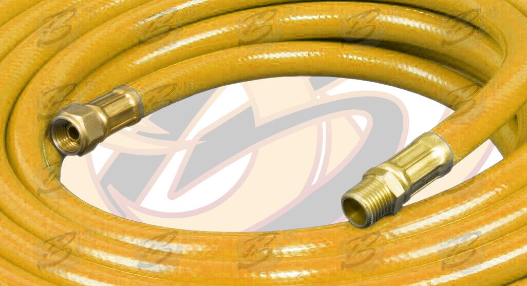 BLUESPOT 10M ( 33FT ) 1/4" BSPT AIR LINE HOSE